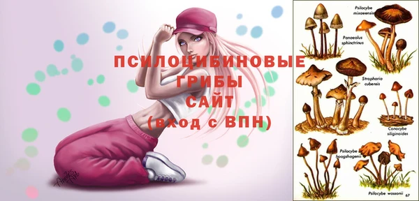 ГАЛЛЮЦИНОГЕННЫЕ ГРИБЫ Армянск
