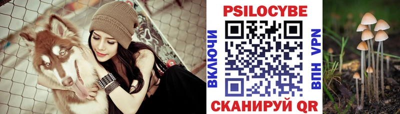Псилоцибиновые грибы прущие грибы  Купить где  Красный Кут 